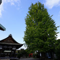 3593-3.jpg