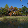 3594-1.jpg