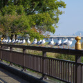 3594-3.jpg