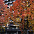 3598-2.jpg