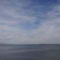 3599-1.jpg