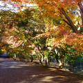 3600-1.jpg