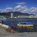 3600-2.jpg