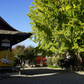 3600-3.jpg