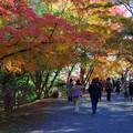 3602-1.jpg