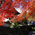 3602-2.jpg