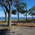 3602-3.jpg