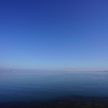 3604-1.jpg