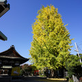 3604-3.jpg