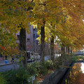 3605-2.jpg
