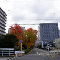 3606-1.jpg