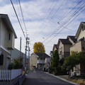 3607-1.jpg