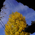 3607-2.jpg