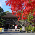 3608-1.jpg