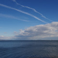 3608-3.jpg