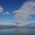 3618-1.jpg
