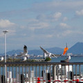 3618-2.jpg