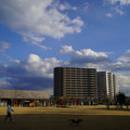 3619-3.jpg
