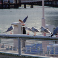 3625-2.jpg