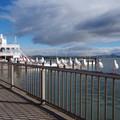 3625-3.jpg