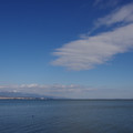 3635-1.jpg