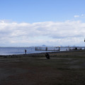 3636-2.jpg