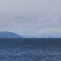 3637-1.jpg
