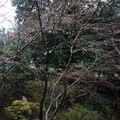 3639-3.jpg