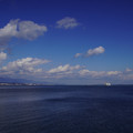 3642-1.jpg