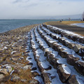 3643-3.jpg