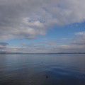 3646-2.jpg