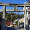 3647-1.jpg