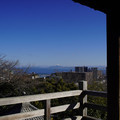 3651-1.jpg