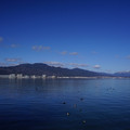 3651-3.jpg