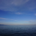 3652-3.jpg