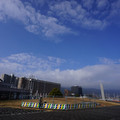3653-3.jpg