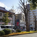 3654-2.jpg