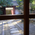 3654-3.jpg
