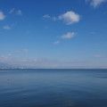 3655-1.jpg