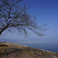 3656-2.jpg