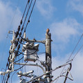 3658-1.jpg