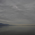 3660-1.jpg