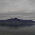 3660-2.jpg