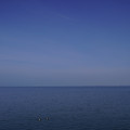 3665-2.jpg