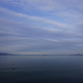 3679-3.jpg
