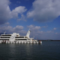3681-1.jpg