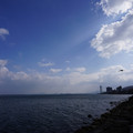 3681-3.jpg