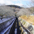 3683-1.jpg