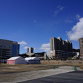 3684-3.jpg