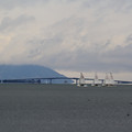 3685-1.jpg